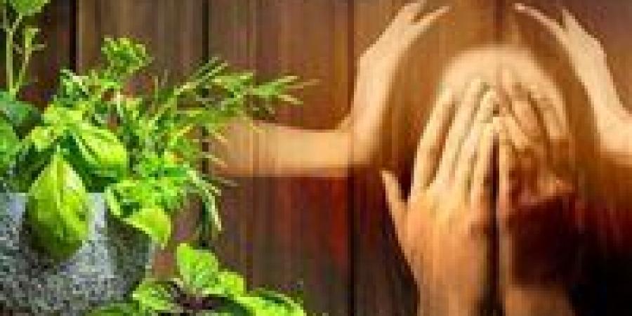 "علاج
      القلق
      والاكتئاب"..
      أسرار
      لاستعادة
      سلامك
      النفسي