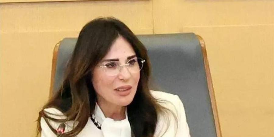 هاني الإسكندراني رئيسا للجهاز المركزي للتعمير لمدة عام