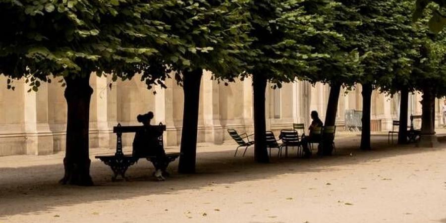 موجات
      الحر
      الشديدة
      ترفع
      استهلاك
      الكهرباء
      لمستويات
      قياسية