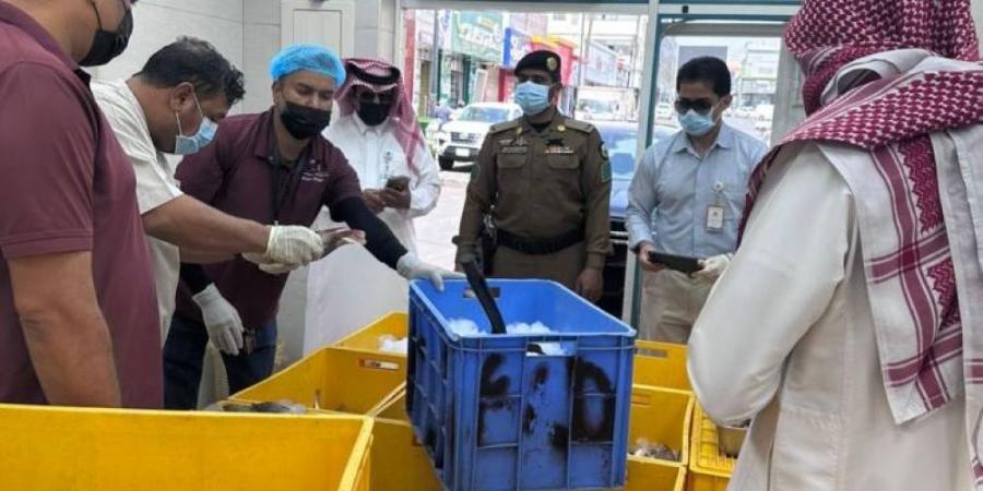 ضبط 1324 كيلوجراما من الأسماك الفاسدة بخميس مشيط