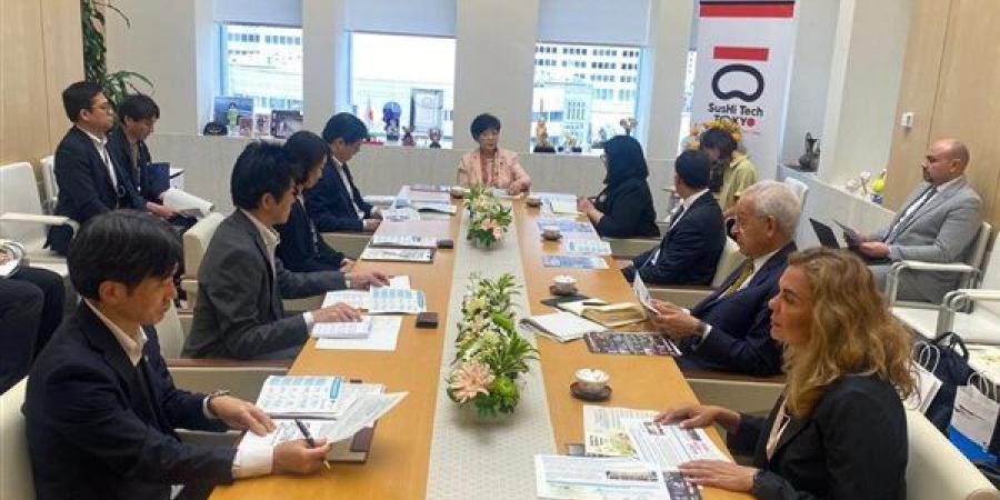 التضامن تطلع على تجربة الحضانات المنزلية اليابانية وتبحث نقل الخبرات إلى مصر