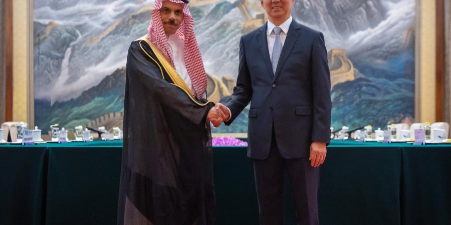 وزير الخارجية يلتقي نائب رئيس جمهورية الصين الشعبية في بكين