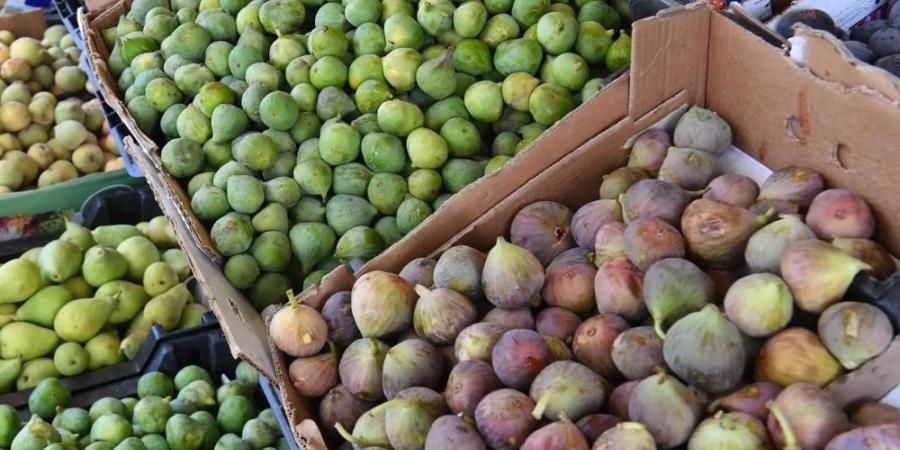 %66 إنجاز مراكز تسويق الفاكهة بعسير