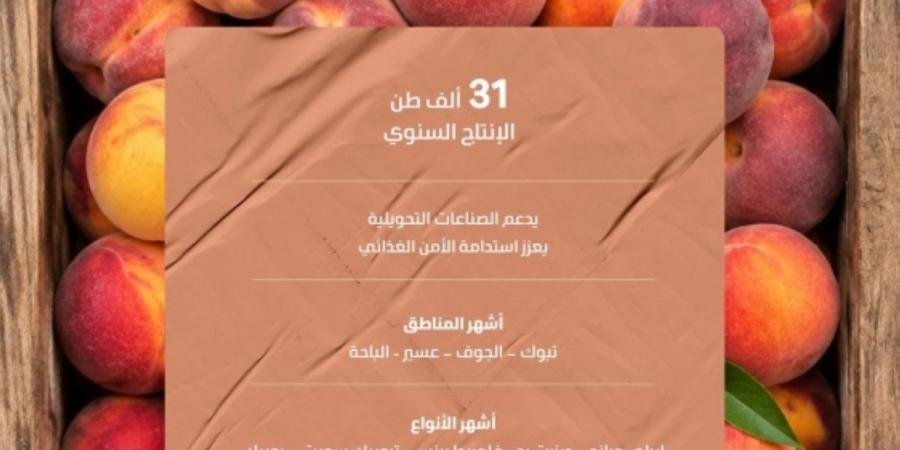 منافذ البيع تنتعش بأكثر من 31 ألف طن 
من ثمار الخوخ المنتجة محليا