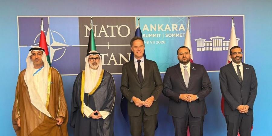 وزير الدولة بوزارة الخارجية يشارك في اجتماع الأمين العام لـالناتو مع رؤساء الوفود المشاركة في مبادرة إسطنبول للتعاون