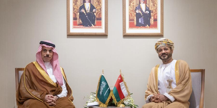 وزير الخارجية ونظيره العُماني يبحثان تعزيز الشراكة الاستراتيجية وأمن الملاحة في مضيق هرمز