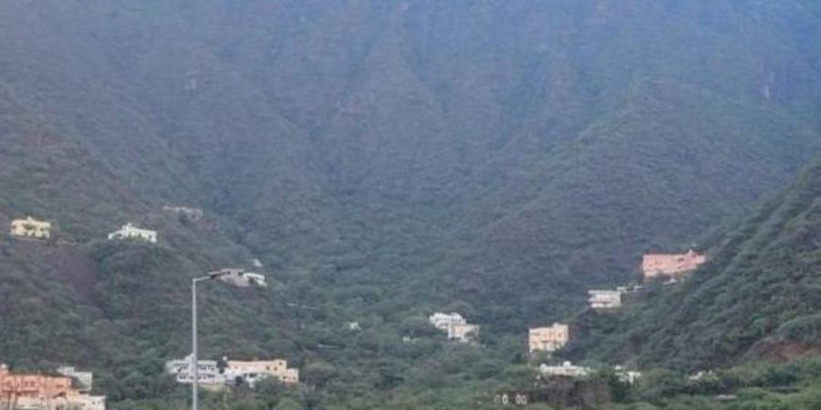 عسير تتحدى الصيف بالأمطار والأجواء الباردة