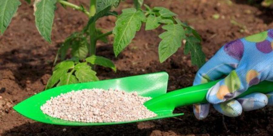 انخفاض
      اليوريا
      العادي
      2829
      جنيها،
      أسعار
      الأسمدة
      اليوم
      في
      الأسواق