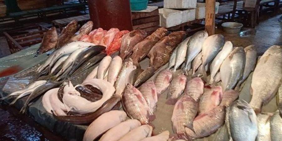 أسعار
      السمك
      اليوم،
      ارتفاع
      البلطي
      والجمبري
      يلامس
      الألف
      جنيه
      وانخفاض
      الكابوريا
      10
      جنيهات