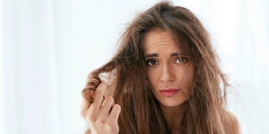 روتين
      بسيط
      للعناية
      بالشعر
      الجاف
      والهايش
