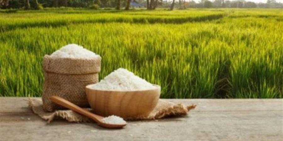 تعرف
      على
      سعر
      الأرز
      في
      السوق
      اليوم
      الإثنين