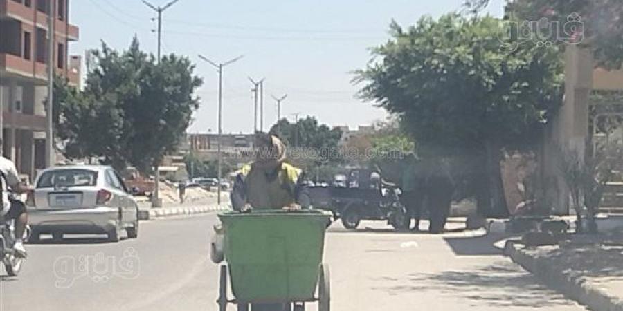 لقمة
      العيش
      الحلال،
      عمال
      النظافة
      بالإسماعيلية
      يعملون
      تحت
      درجة
      حرارة
      تتجاوز
      الـ40
      (صور)
