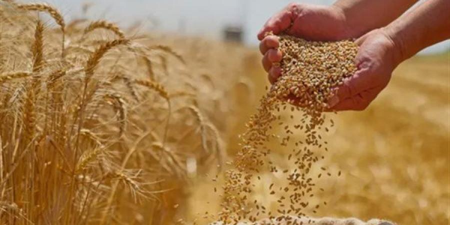 ارتفاع
      أسعار
      القمح
      عالميا
      بسبب
      توترات
      البحر
      الأسود،
      والذرة
      تسجل
      أعلى
      مستوى
      في
      شهرين