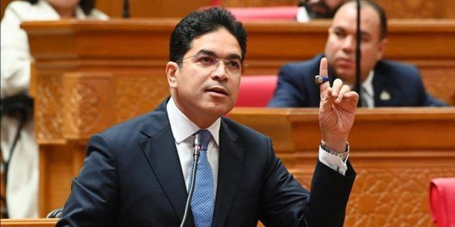 ضياء الدين داود: نتابع عن قرب ملف البحارة المصريين على متن السفينة AIDA