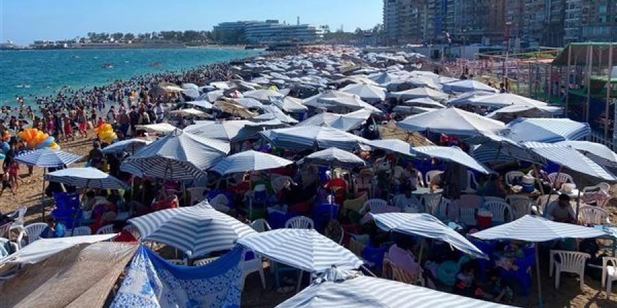 زحام
      على
      شواطئ
      الاسكندرية
      ورفع
      الرايات
      الحمراء
      والصفراء
      بسبب
      ارتفاع
      الموج