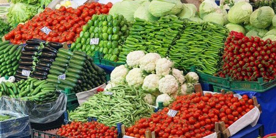ارتفاع
      الخيار
      وانخفاض
      الفلفل
      الألوان،
      سعر
      الخضار
      اليوم
      الإثنين
      27
      يوليو
      2026