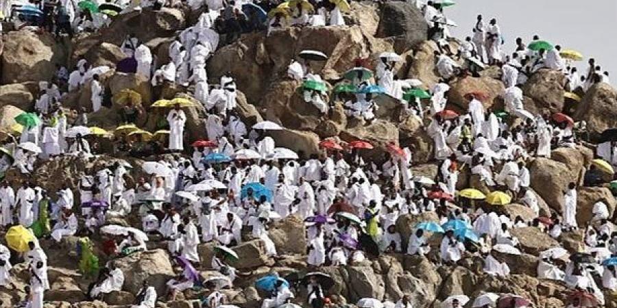 غرفة
      شركات
      السياحة:
      تجميع
      ملاحظات
      موسم
      الحج
      للعام
      الماضي
      للرد
      عليها
      بشكل
      رسمي