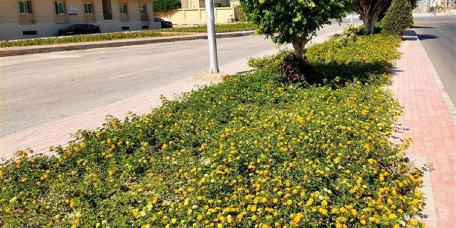 وزيرة
      الإسكان
      تتابع
      موقف
      المشروعات
      وأعمال
      التطوير
      ورفع
      كفاءة
      الخدمات
      بمدن
      الصعيد
      الجديدة
