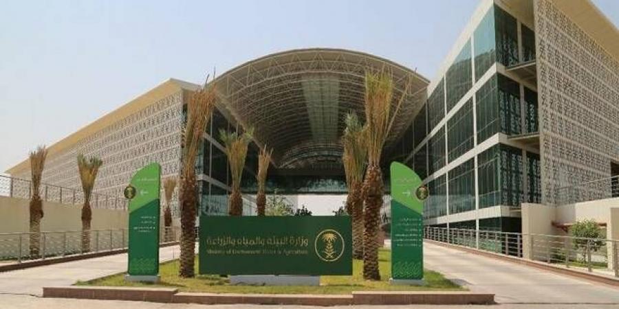"بيئة
      القصيم"
      تطرح
      فرصة
      استثمارية
      لإنشاء
      منشأة
      تحويلية
      لمتبقيات
      النخيل