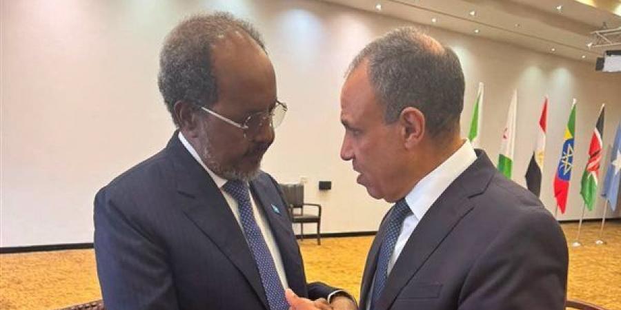 وزير
      الخارجية
      يلتقي
      الرئيس
      الصومالي