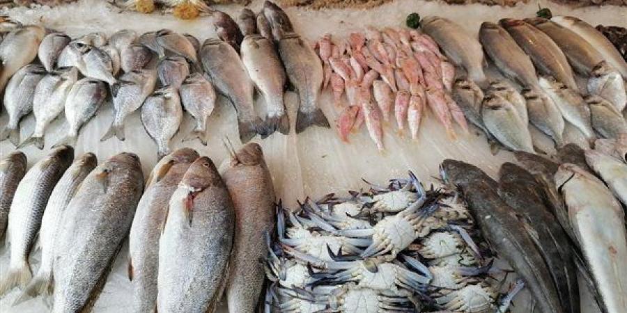 أسعار
      السمك
      اليوم،
      انخفاض
      جديد
      في
      البلطي
      وقفزة
      في
      المكرونة
      وقشر
      البياض