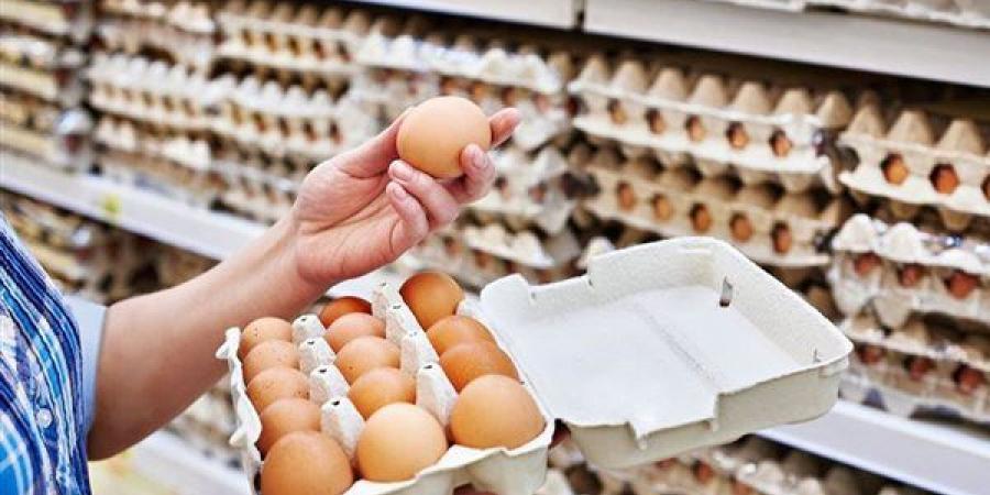 ارتفاع
      الأحمر
      وانخفاض
      البلدي،
      سعر
      كرتونة
      البيض
      اليوم
      السبت
      في
      بورصة
      الدواجن
