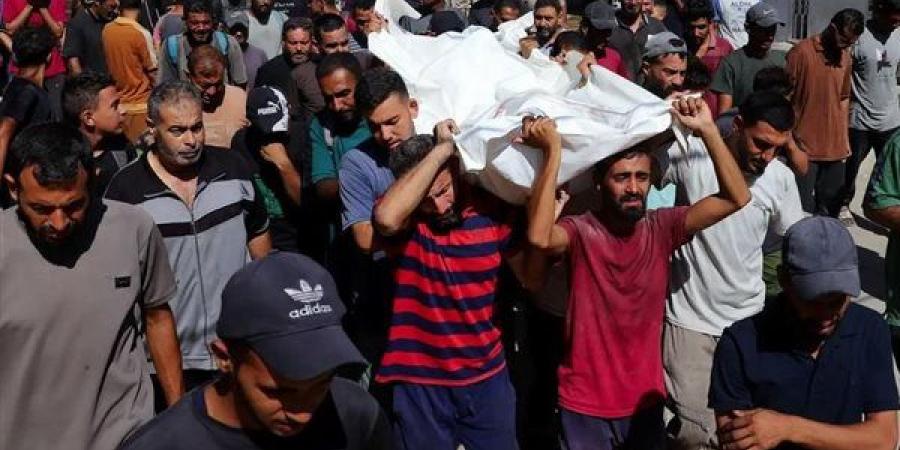 14
      شهيدًا
      بينهم
      4
      أطفال
      في
      غارات
      إسرائيلية
      على
      غزة
      منذ
      فجر
      اليوم