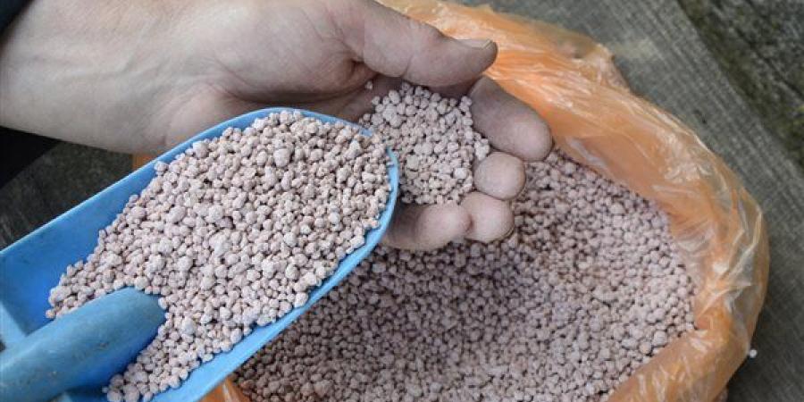 انخفاض
      اليوريا
      العادي
      4305
      جنيهات،
      أسعار
      الأسمدة
      اليوم
      في
      الأسواق