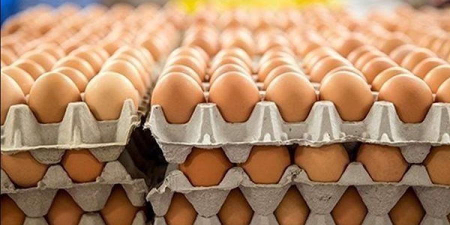 سعر كرتونة البيض اليوم الثلاثاء في بورصة الدواجن