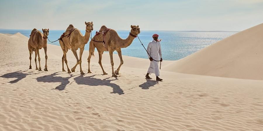 يورونيوز تتغنى بمقومات قطر السياحية.. من سوق واقف واللؤلؤ إلى البحر والصحراء