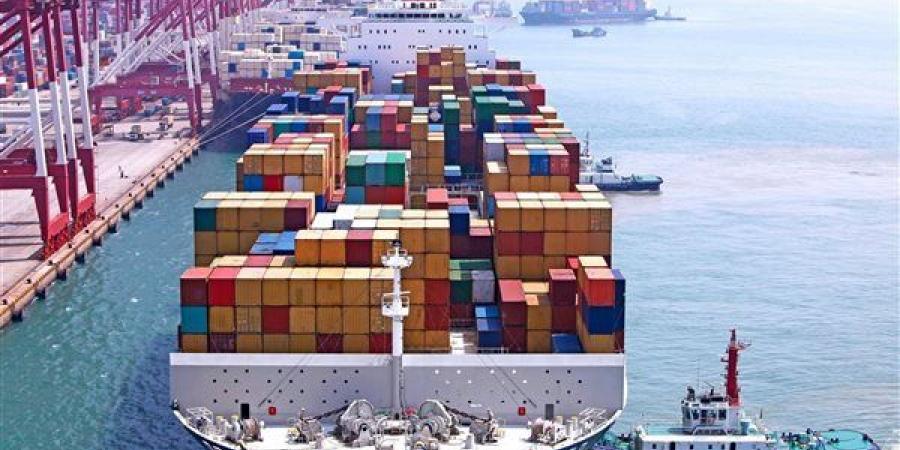 إفريقية النواب تطالب بإطلاق منصة رقمية لربط مصر بأسواق القارة