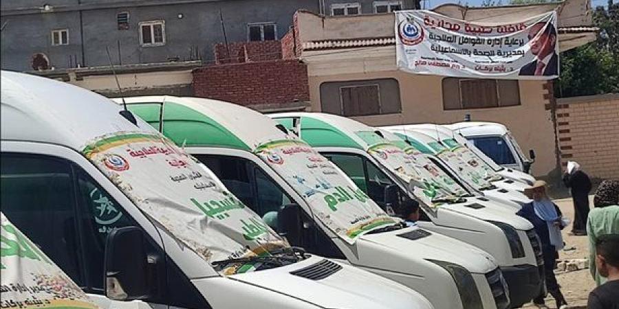 الكشف على 1284 مواطنًا خلال قافلة طبية بقرية أم حبيب بالإسماعيلية