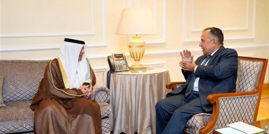 نبيل فهمي يبحث مع أمين "التعاون الخليجي" تطورات المنطقة وتعزيز الأمن العربي