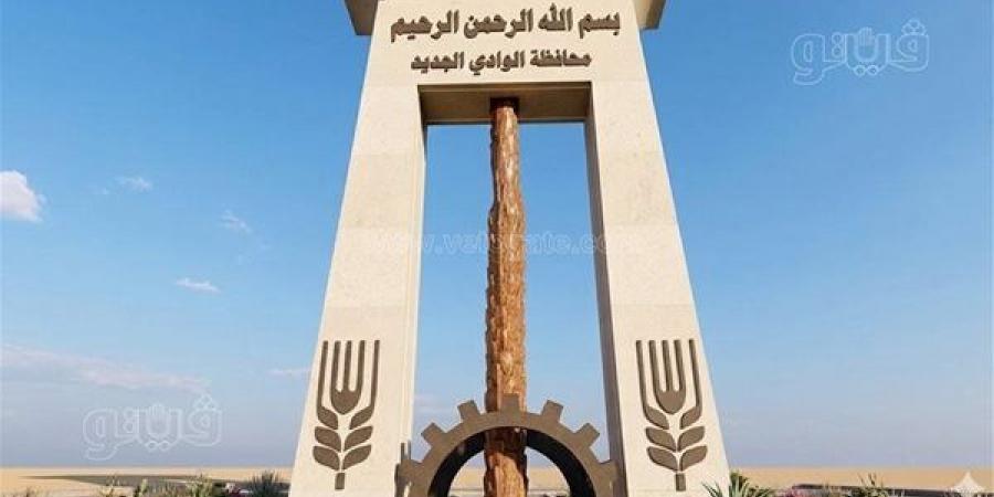 لأول مرة، الوادي الجديد تفتح باب المنح الدراسية بالجامعات الخاصة لطلاب الثانوية