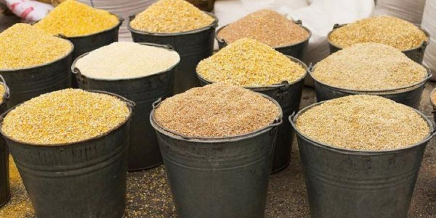 ارتفاع الذرة والصويا، أسعار الأعلاف والحبوب اليوم في الأسواق