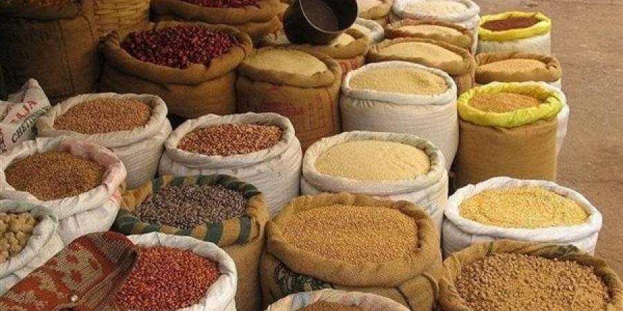 ارتفاع الذرة والصويا والردة، أسعار الأعلاف والحبوب اليوم في الأسواق