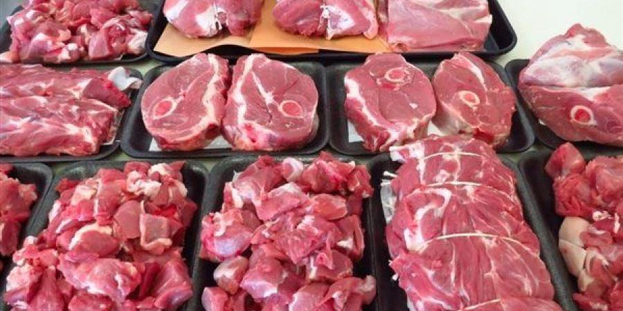 باستثناء الكندور صغير السن، انخفاض كبير في أسعار اللحوم اليوم بالأسواق