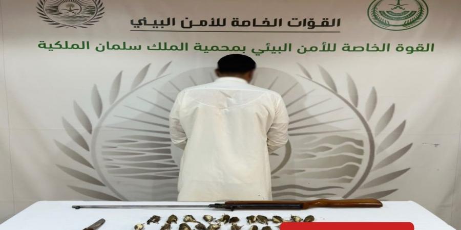 الأمن البيئي يضبط مخالفًا للصيد دون ترخيص في محمية الملك سلمان وبحوزته 30 كائنًا فطريًا