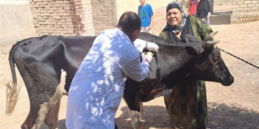 جامعة الفيوم تنظم قافلة بيطرية بعزبة الشافعي بطامية