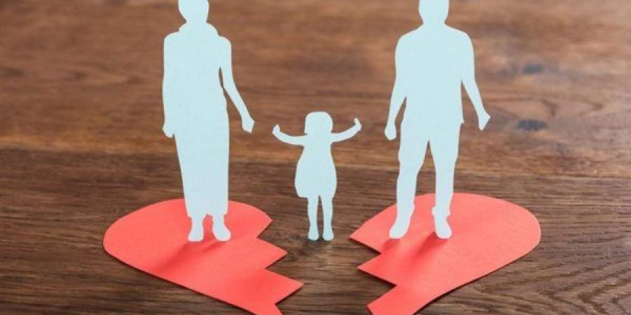 بسبب مشاكل التنفيذ، سؤال برلماني يطالب بقواعد لتنظيم الرؤية والاستضافة