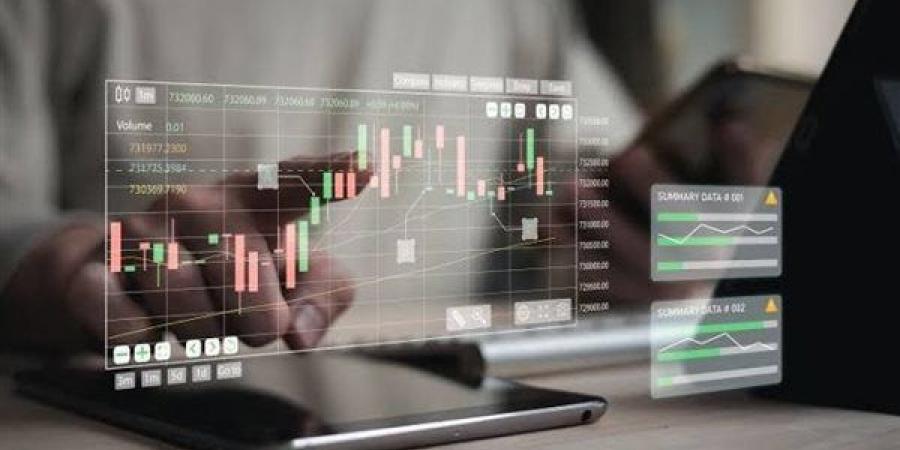رئيس برلمانية الجبهة الوطنية يطالب بتطبيق مبدأ "الموافقة الصامتة" للمستثمرين