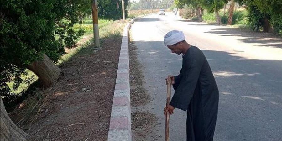 رفع 6 أطنان مخلفات وقمامة في حملة نظافة بقرية الشعانية بقنا