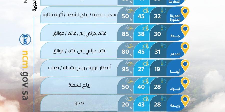 حالة الطقس: أمطار رعدية غزيرة وبَرَد على 5 مناطق.. والأرصاد تحذر من السيول والأتربة