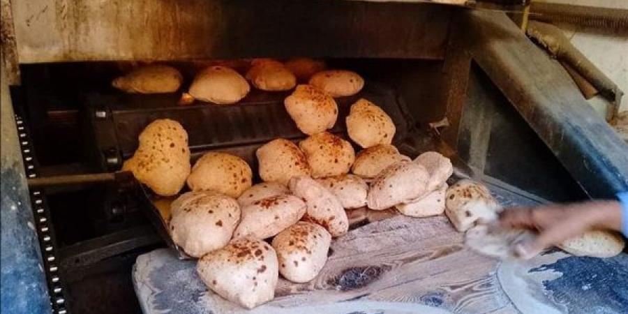 اليوم، "المخابز" تعقد اجتماعا مع وزير التموين لمناقشة الدعم النقدي وأزمة بيع الخبز الحر