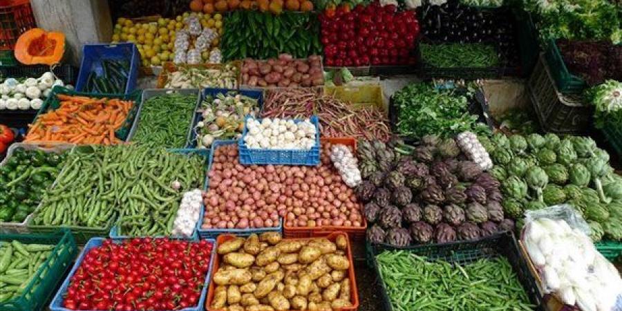 سعر الخضار اليوم، ارتفاع البامية والبطاطس والكوسة وتراجع الليمون إلى 25 جنيها