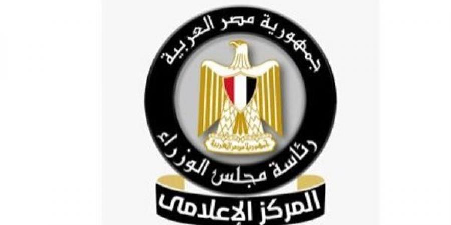 مجلس الوزراء يستعرض مواصفات سفينتي الصب الجاف "وادي النيل" و"وادي القمر"