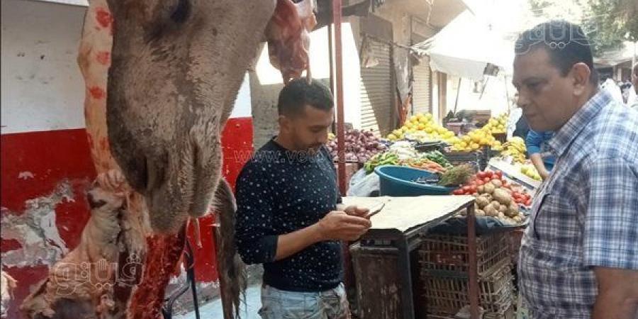 بيطري أسيوط يضبط نصف طن لحوم وأسماك غير صالحة للاستهلاك الآدمي